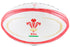 Gilbert Official Replica Wales Rugby Ball Size 5-Gilbert-Sports Replay - Sports Excellence