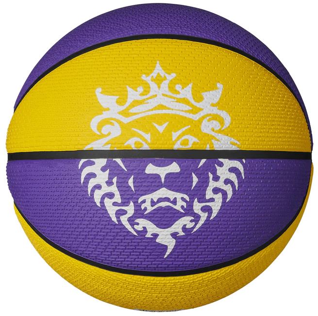 Nike Playground 2.0 8P James Court Basketball-Nike-Sports Replay - Sports Excellence