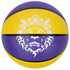 Nike Playground 2.0 8P L James Basketball - Deflated-Nike-Sports Replay - Sports Excellence
