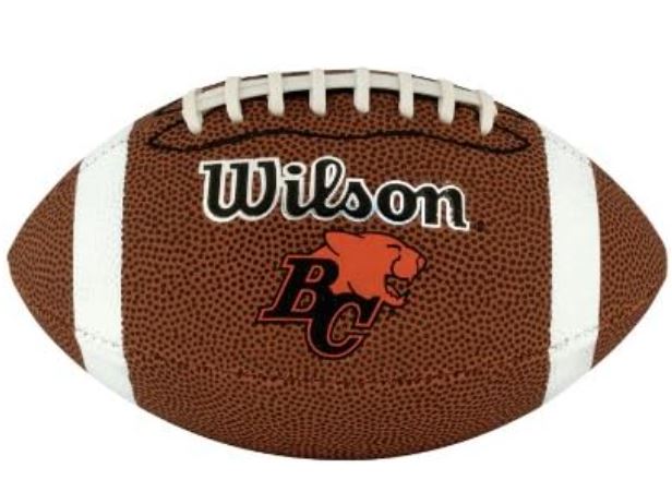 Wilson Cfl Team Mini Football-Wilson-Sports Replay - Sports Excellence