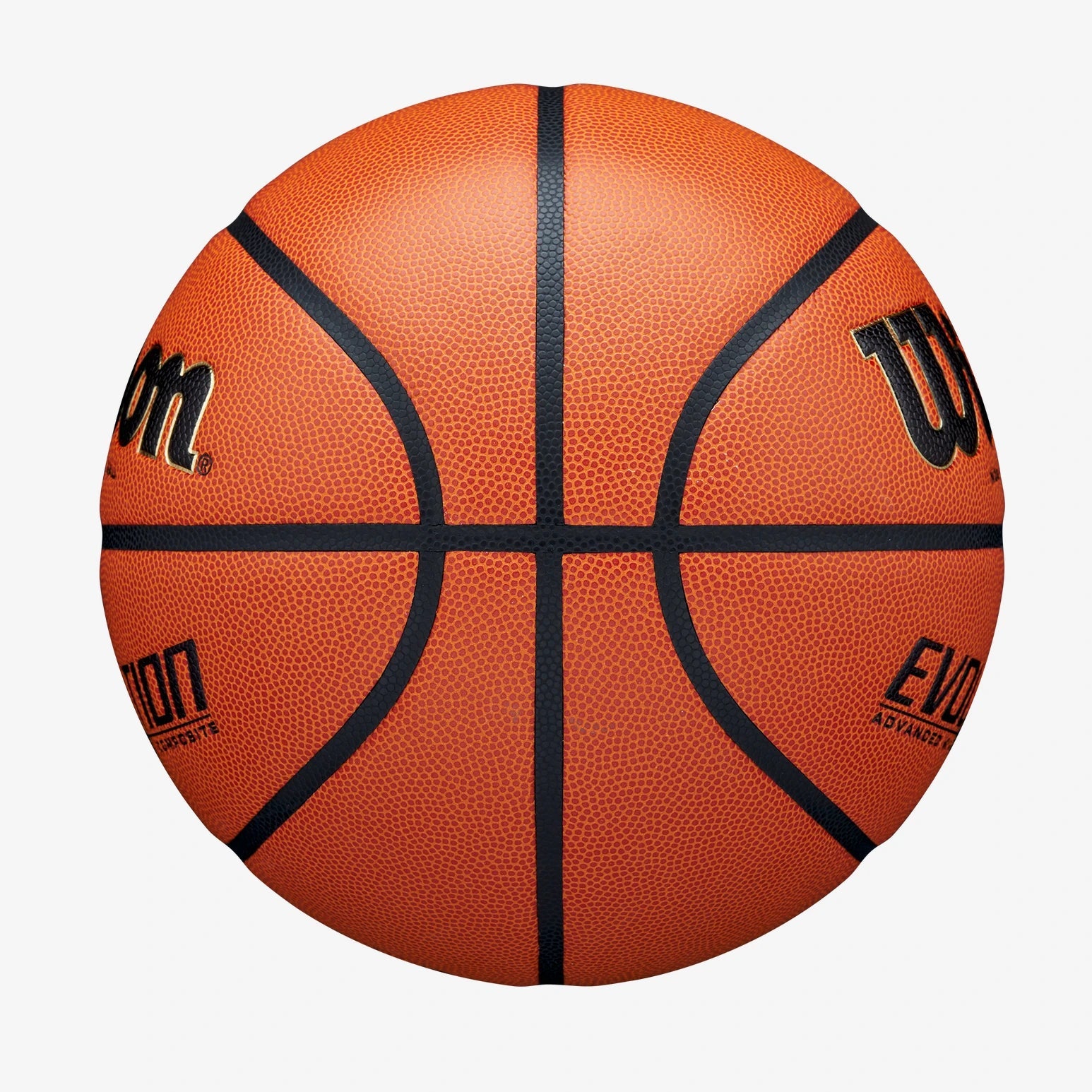Wilson Evolution Basketball-Wilson-Sports Replay - Sports Excellence